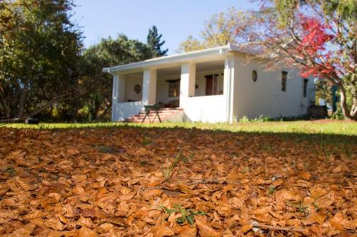 Hogsback Apartment | Inviting Khayalethu Cottage - Guest Rated 8.3/10