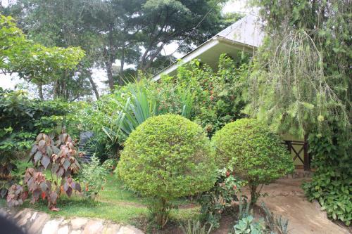 Kibale Bed & Breakfast | Eco-Friendly Kibale Eco-Home: Pet Friendly & Family Ready