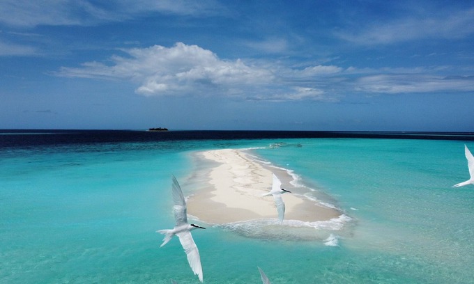 Baa Atoll House | Discover Kihaa Holiday Home: Family-Friendly Retreat