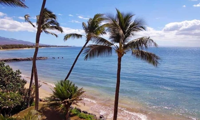 Kihei Condo | Oceanfront Kihei Beach Condo with Pool & Kitchen Access