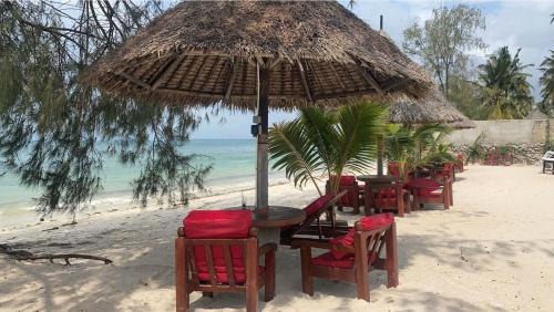 Kigamboni Resort | Discover Kijiji Beach Resort: Oceanfront Paradise Awaits