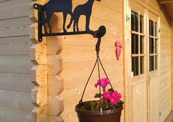 Jarva County Other | Experience Kilplaste Küla Campgrounds: Pet-Friendly Retreat