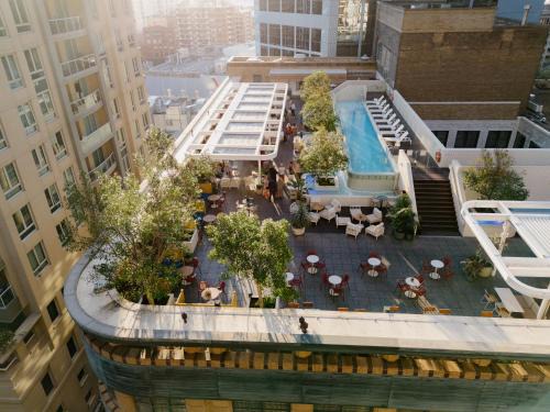 Sydney Central Business District Hotel | Discover Kimpton Margot Sydney: 5-Star Pet-Friendly Retreat