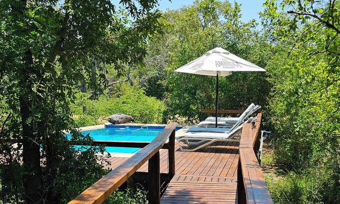 Thorny Bush Game Reserve Other | Unforgettable Stay at Kingfisher Creek Safari Lodge