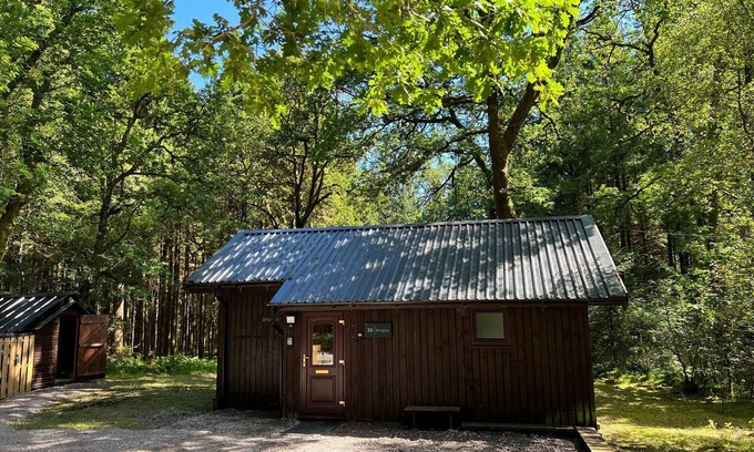 Taynuilt Cabin | Discover KINGLAS Cabin: Peaceful Retreat with Ocean Views