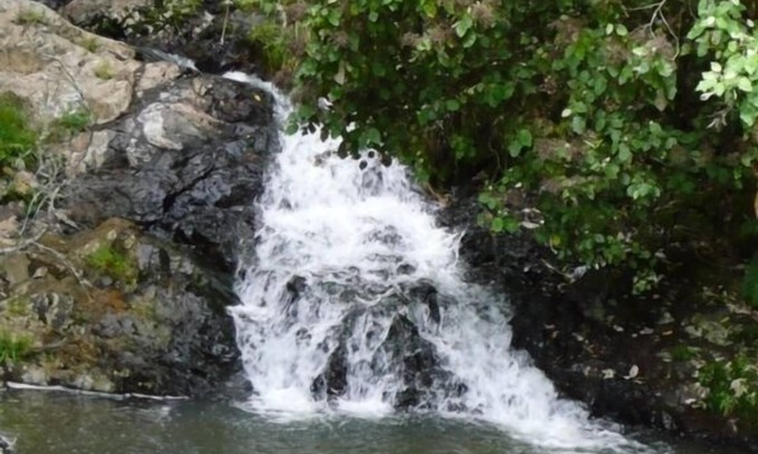Ngaruawahia Other | Serene Kings Ridge Cottage - Family-Friendly with Breakfast