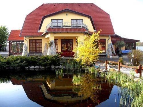 Debrecen House | Pet Friendly Kisfecske Vendégház with Pool & Family Amenities