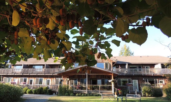 North Oyster Cabin | Relax at Kiwi Cove Lodge with Oceanfront Views & Spa