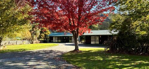 Murchison Hotel | Inviting Kiwi Park Motels: Pet-Friendly & Family-Oriented Stay