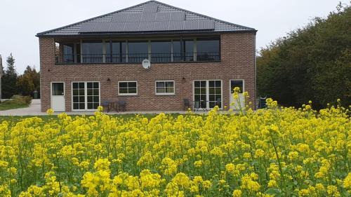 Hulst Apartment | Experience Klein Cambron: Guest Rated 9/10 with Kitchen