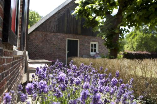 Municipality of Haaksbergen House | Discover Klein Wolterinck: Family & Pet Friendly Retreat