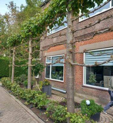 Achthuizen Bed & Breakfast | Family-Friendly Retreat at Klooster Achthuizen