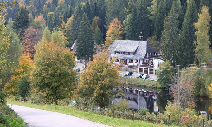 Wittenschwand Hotel | Explore Klosterweiherhof: Pet-Friendly Retreat with Restaurant