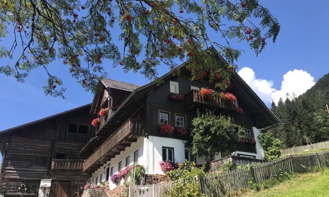 Ramsau am Dachstein Apartment | Knaushof by Interhome
