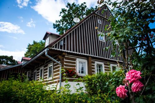 Vrchlabi House | Pet-Friendly Retreat at Knežicka Chalupa - 9.5/10 Rating