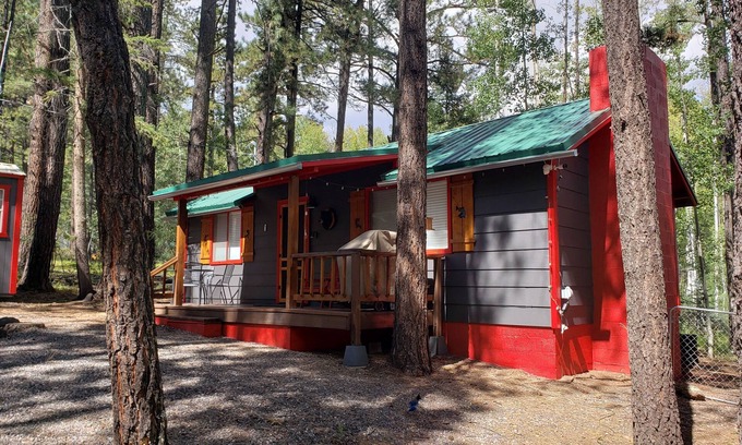 Greer Cabin | Experience The Knotty Bear Cabin in Greer - Rated 9.8/10