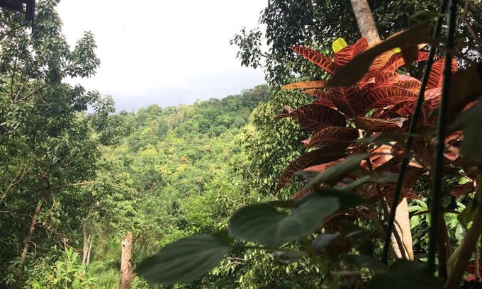 Gomagoda House | Explore Knuckles Range at Aruni Villa with Family-Friendly Amenities