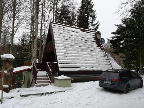 Ilirska Bistrica House | Pet-Friendly KOČA PLANIKA in SVIŠČAKI - Rated 9/10