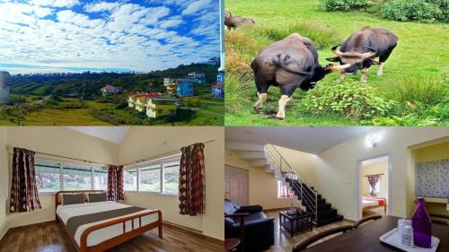Kodaikanal House | Kodai Mist Starlight Hotels
