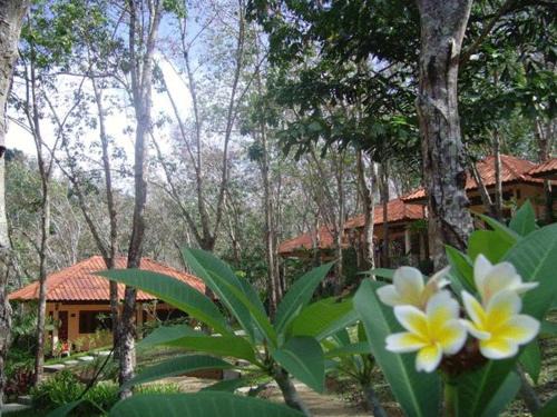 Ko Mook Resort | Comfortable Koh Mook Rubber Tree Bungalows with Ocean Views