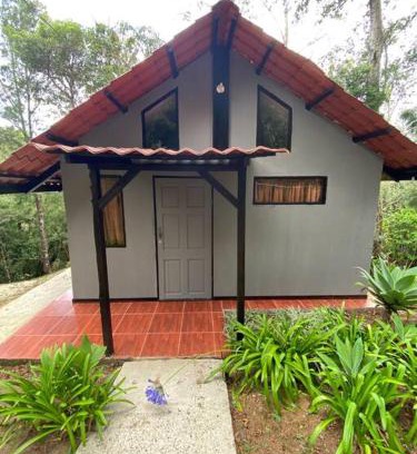 Canton Dota House | Pet-Friendly Koi's House in Quebradillas de Dota