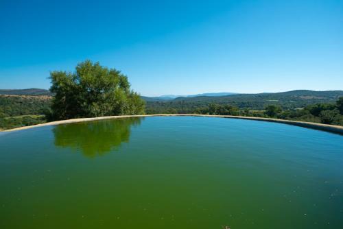 Maanhaarand Apartment | Pet-Friendly Kokopelli Farm with Pool & Family Amenities