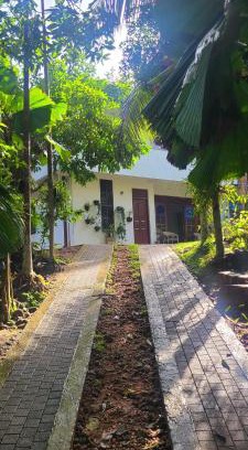 Ruwanwella Apartment | Eco-Friendly Kolamba Gedara Apartment - Rated 9.8/10
