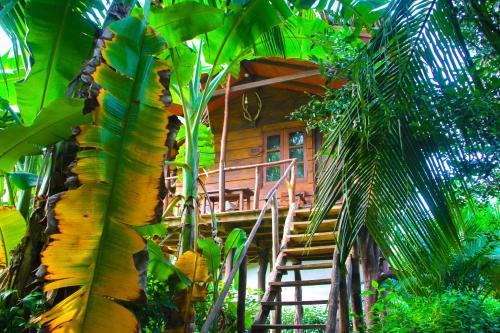 Kimbissa Hotel | Relax at Kolon Resort Sigiriya with Ocean Views & Pool