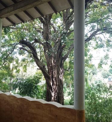 Dambulla House | Relax at Kon Tree Shade: Oceanfront Getaway, Rated 9.9
