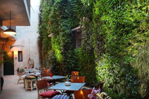 Tarifa Hotel | Top-Rated Kook Hotel Tarifa: Family-Friendly & Accessible