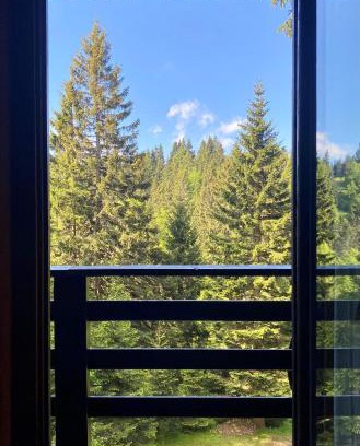 Pohorje House | Discover KOPE: Family-Friendly Challet Gogy Awaits