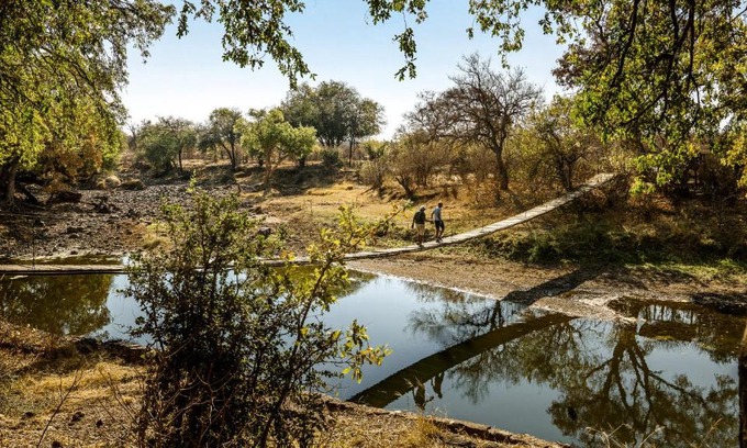 Mashatu Game Reserve Other | Experience Koro Island Camp with Breakfast Included