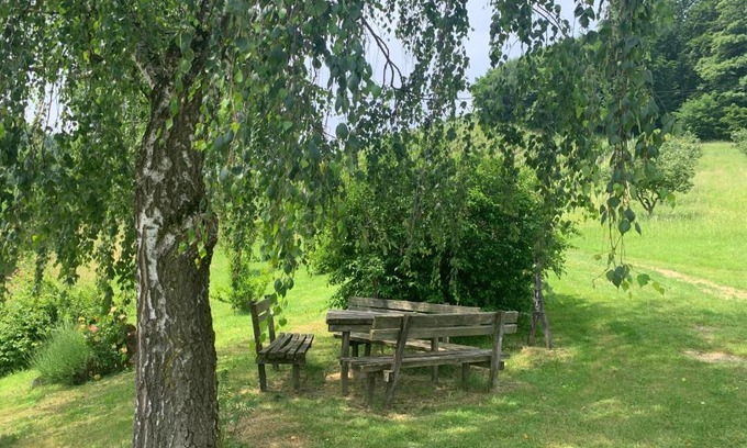 Fresing Hotel | Pet-Friendly Koschak Wirt & Weinbauer with Breakfast Included