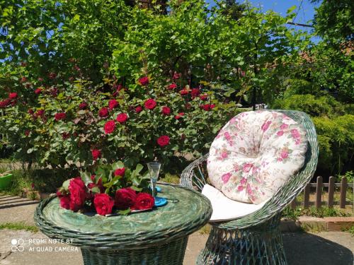 Mladenovac Apartment | Highly Rated KosMaj Dan Belgrade: Family-Friendly Retreat