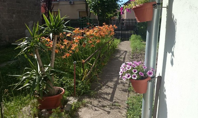 Erzsebetfalva Apartment | Exceptional Stay at Kossuth Lajos u. 176 with Breakfast