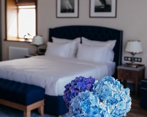 Kostroma Hotel | Discover Kostroma Hotel Golden Ring: 4-Star Family Getaway