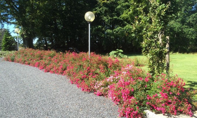 Herning Apartment | Top-Rated Kratgaardens Apartment with Family-Friendly Amenities