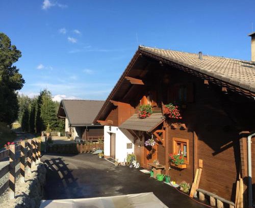 Hochrindl Apartment | Family-Friendly KRETZSCHMAR'S HÜTTE with Pet Amenities
