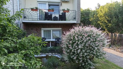 Becej Villa | Family-Friendly Kuća Donji Park with Kitchen Amenities