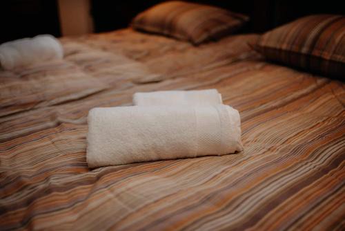 Zupanja Villa | Pet-Friendly Retreat at Kuća za odmor "Šokačka lady"