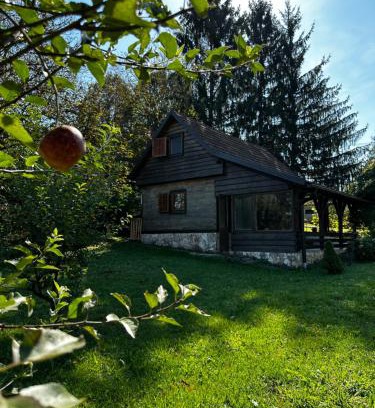 Koranski Brijeg House | Idyllic Kuća za odmor Zora with Ocean View & Spa