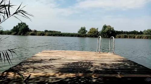 Becej House | Pet and Child Friendly Retreat at Kuca za odmor Harmony