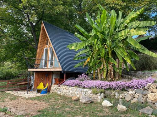 Central Serbia House | Guest Rated: Kuca za odmor Lola with Oceanfront Pool