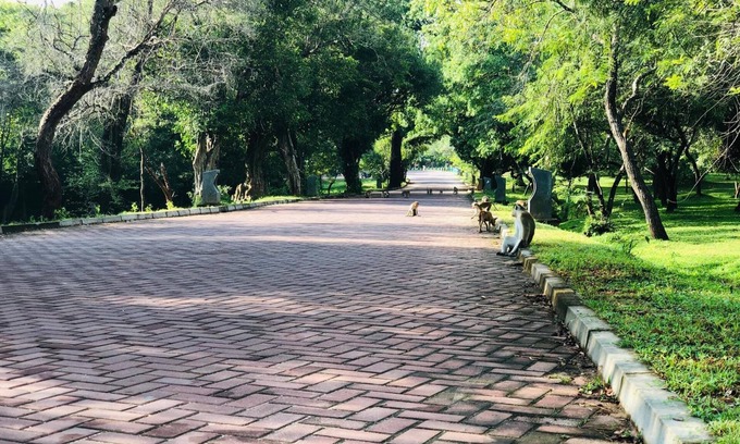 Polonnaruwa Hotel | Discover Kumari Resort: Family-Friendly with Dining Options