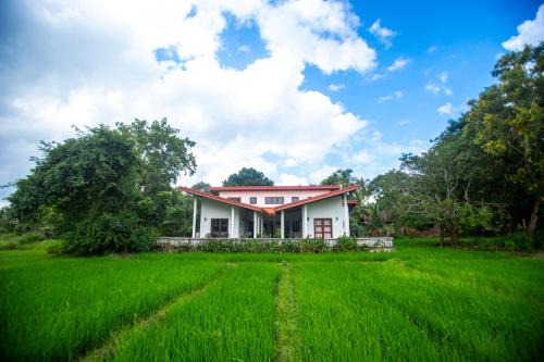 Kimbissa House | Pet-Friendly Retreat at Peacock House Sigiriya