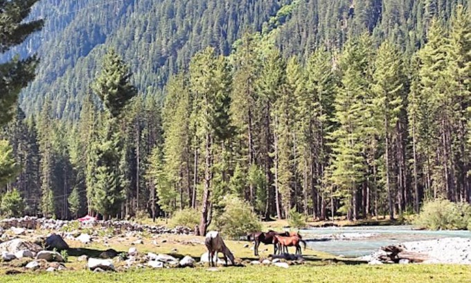 Khyber Pakhtunkhwa Hotel | Explore Kumrat Glamping Resorts: Family-Friendly Retreat