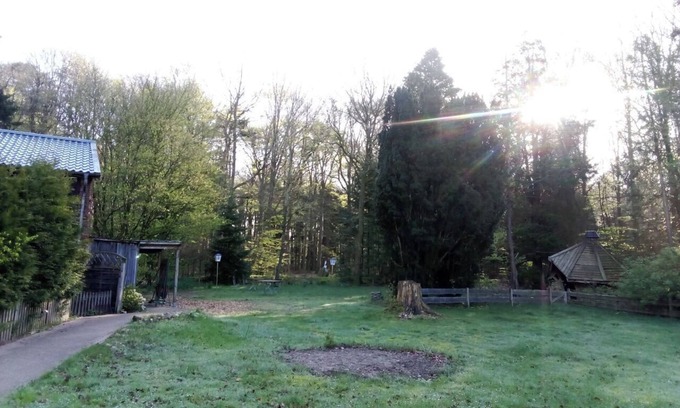 Bohmstedt Apartment | Cozy Forest Retreat: Pet-Friendly Stay in Secluded Location