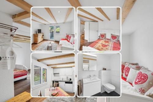 Wildhaus Apartment | Cozy Ski Apartment with Pet-Friendly Amenities, Rated 9.3/10