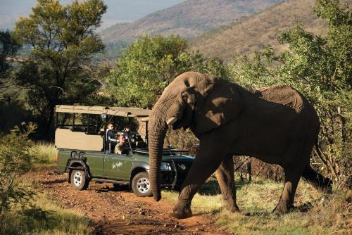 Pilanesberg National Park Hotel | Discover Kwa Maritane Lodge: 4-Star Comfort & Family Fun