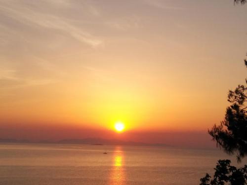 Platana House | Experience Kymi Bay House: Pet-Friendly Oceanfront Retreat